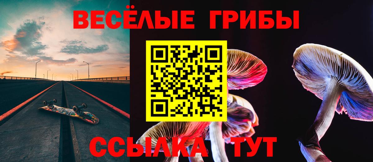 Назрань  Псилоцибиновые грибы Cubensis  Вход с VPN  Псилоцибиновые грибы мицелий 